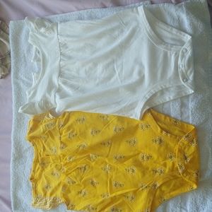 Carters onesies set of 2 . Size 24 Months